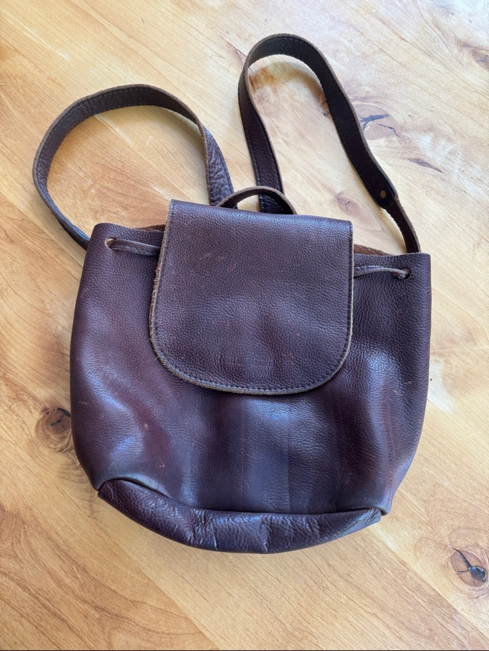 Portland Leather backpack purse